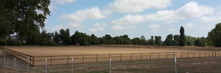 Sand Arenas