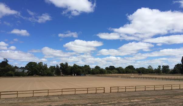 Equestrian arenas